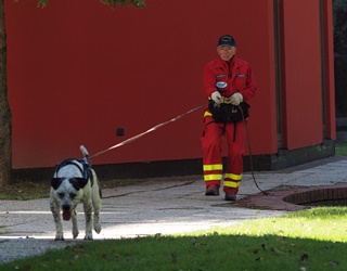 Trailen